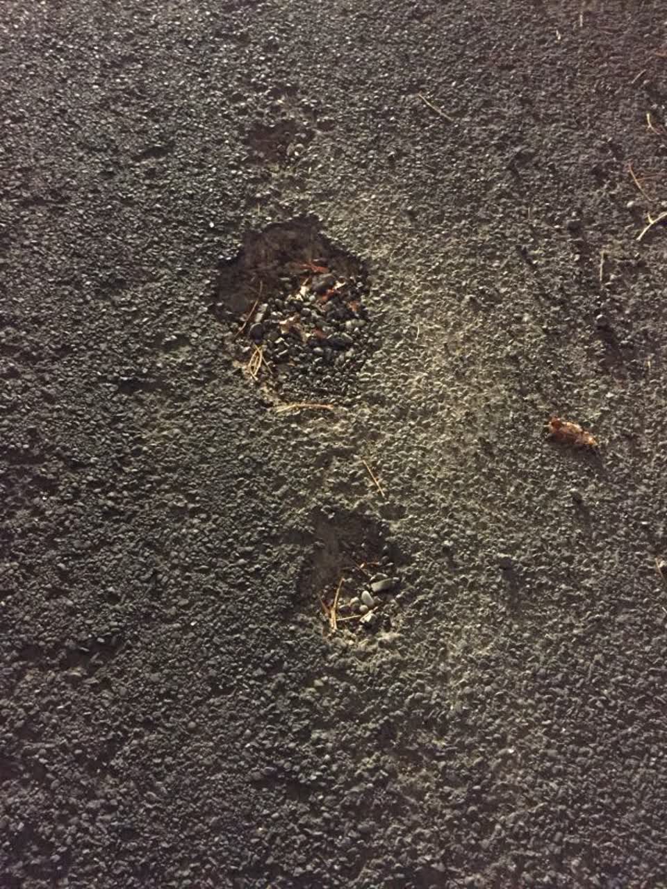 The photograph attached to this roading/streets report