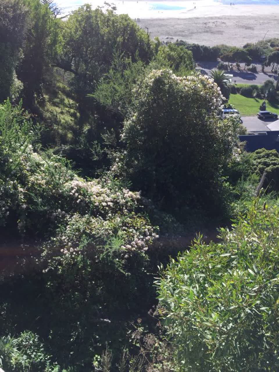The photograph attached to this parks report
