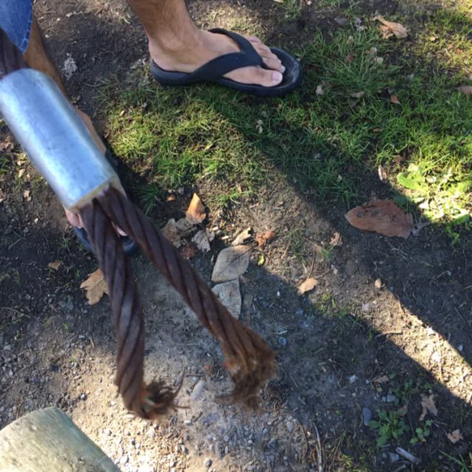 The photograph attached to this parks report
