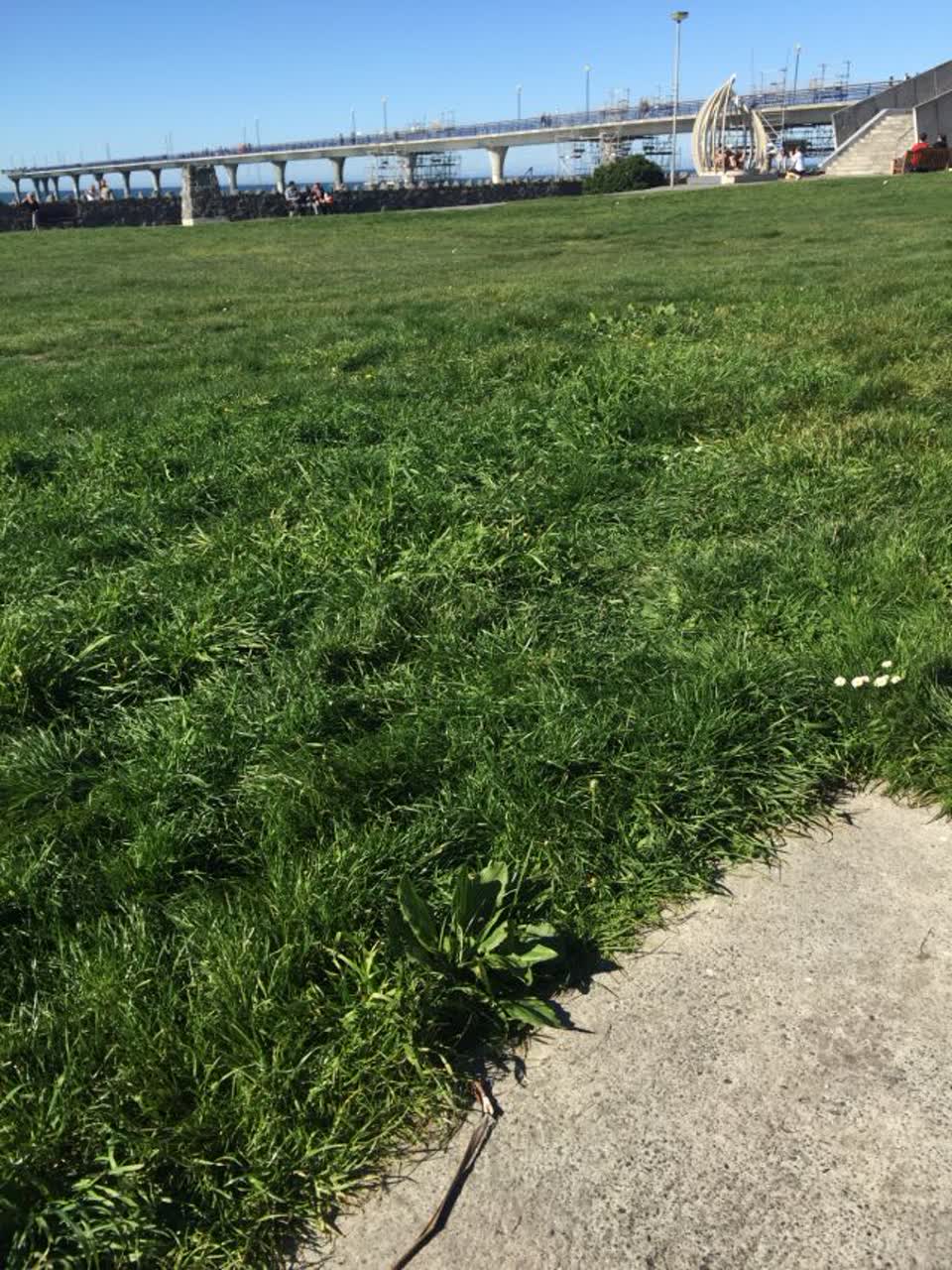 The photograph attached to this parks report