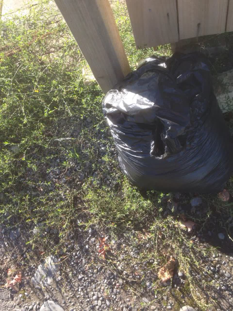 The photograph attached to this rubbish/recycling report
