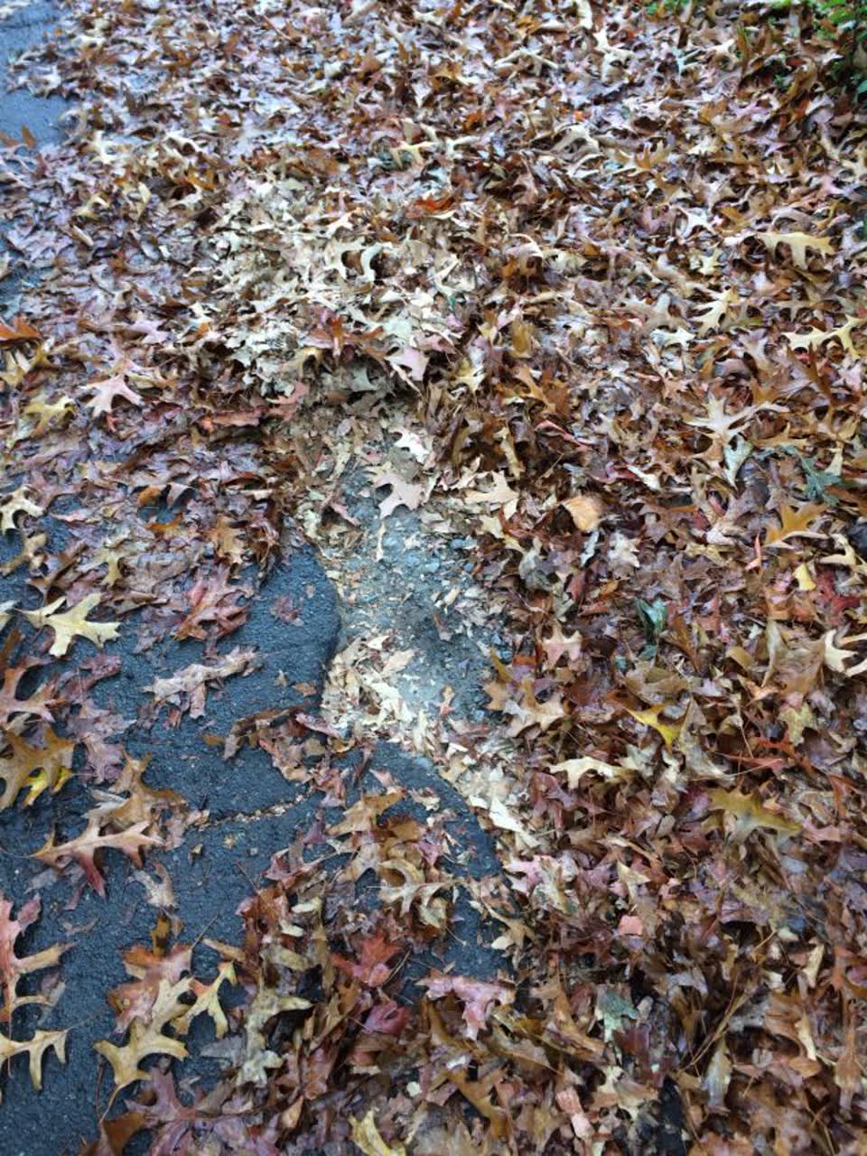 The photograph attached to this roading/streets report