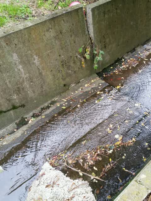 Wastewater/Stormwater, a report photo
