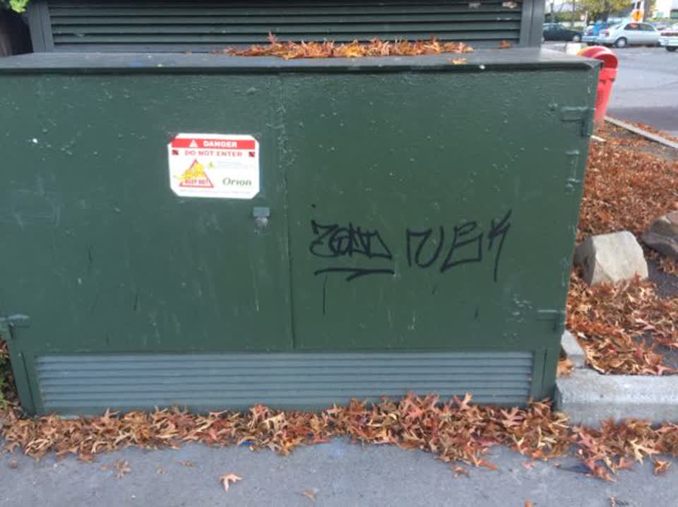 The photograph attached to this graffiti report