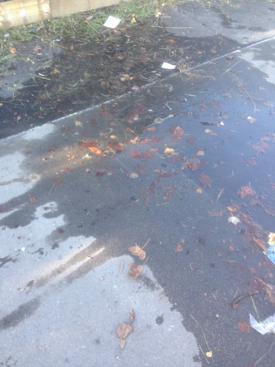 The photograph attached to this wastewater/stormwater report