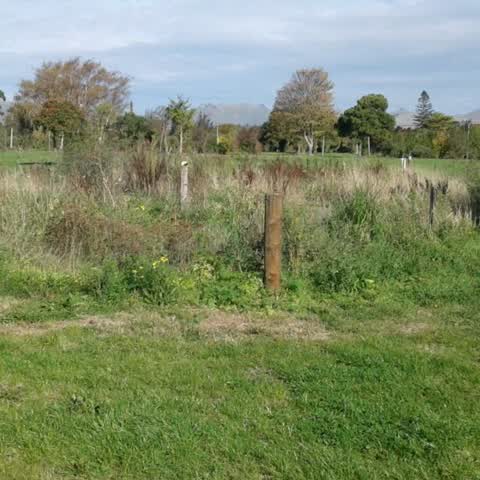 Parks, a report photo