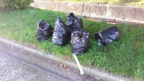 Rubbish/Recycling — a report photo