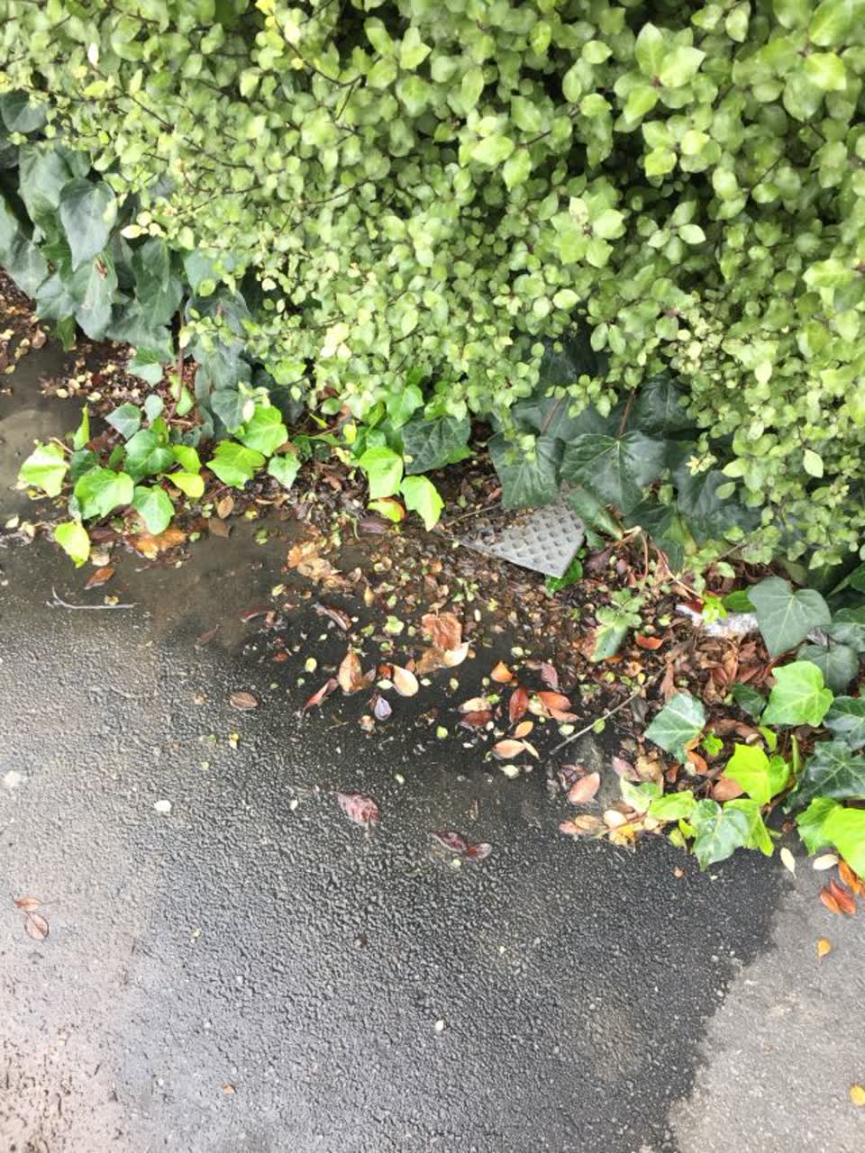 The photograph attached to this water supply report