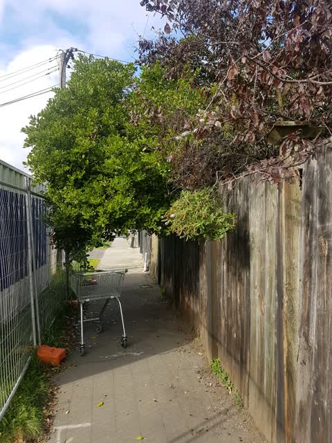 Roading/Streets — a report photo