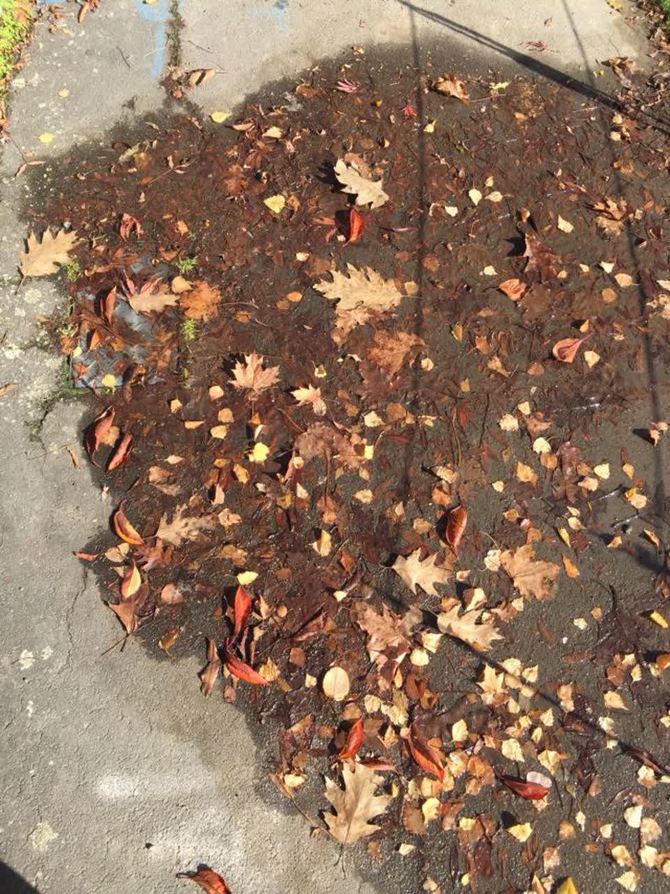 The photograph attached to this water supply report