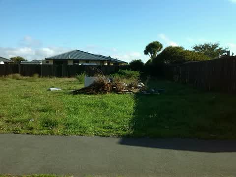 Rubbish/Recycling — a report photo