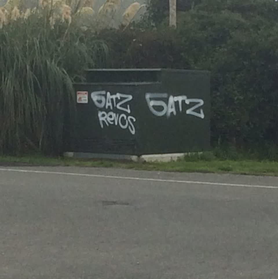 The photograph attached to this graffiti report