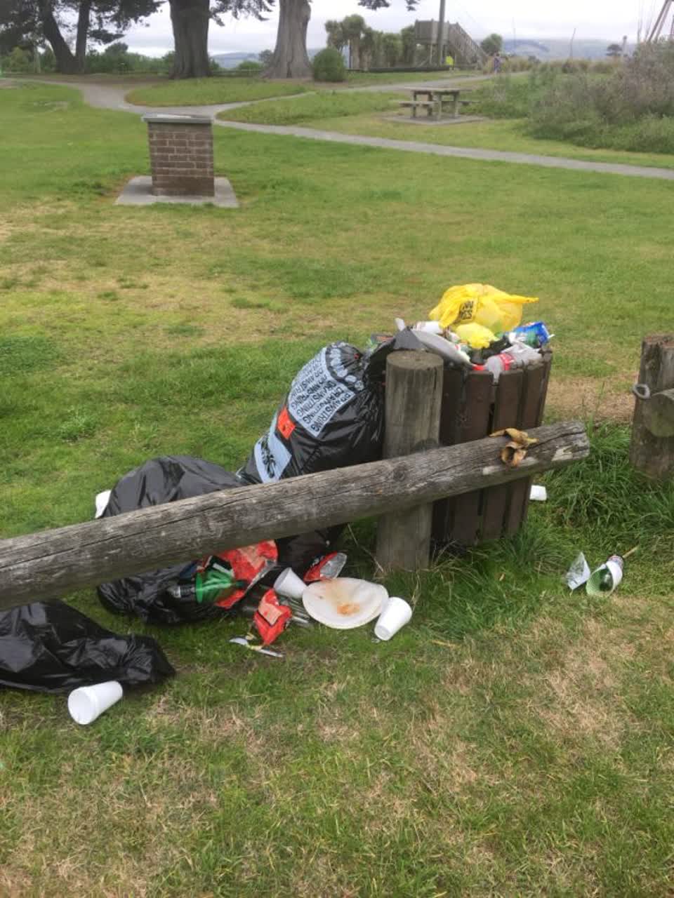The photograph attached to this rubbish/recycling report