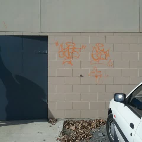 Graffiti, a report photo
