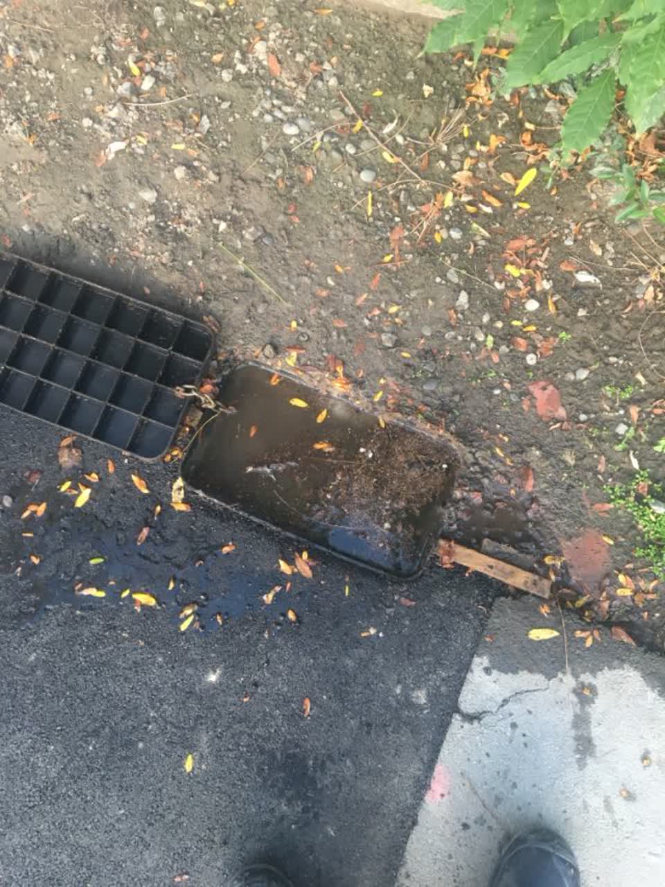 The photograph attached to this water supply report