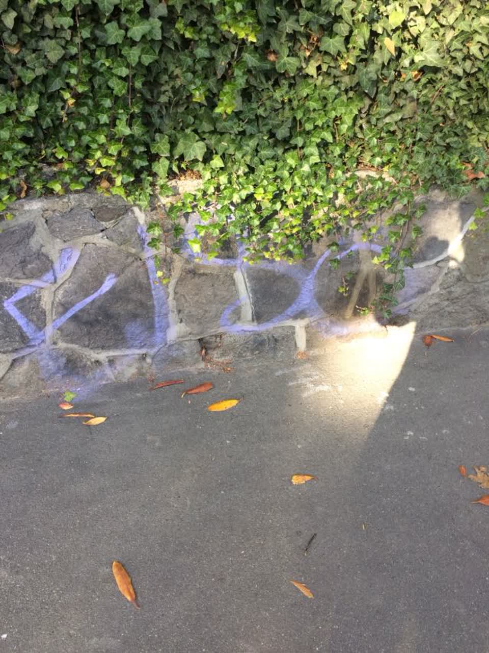 The photograph attached to this graffiti report