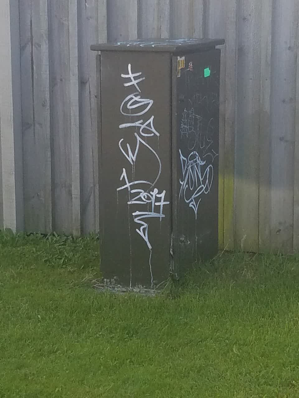 The photograph attached to this graffiti report