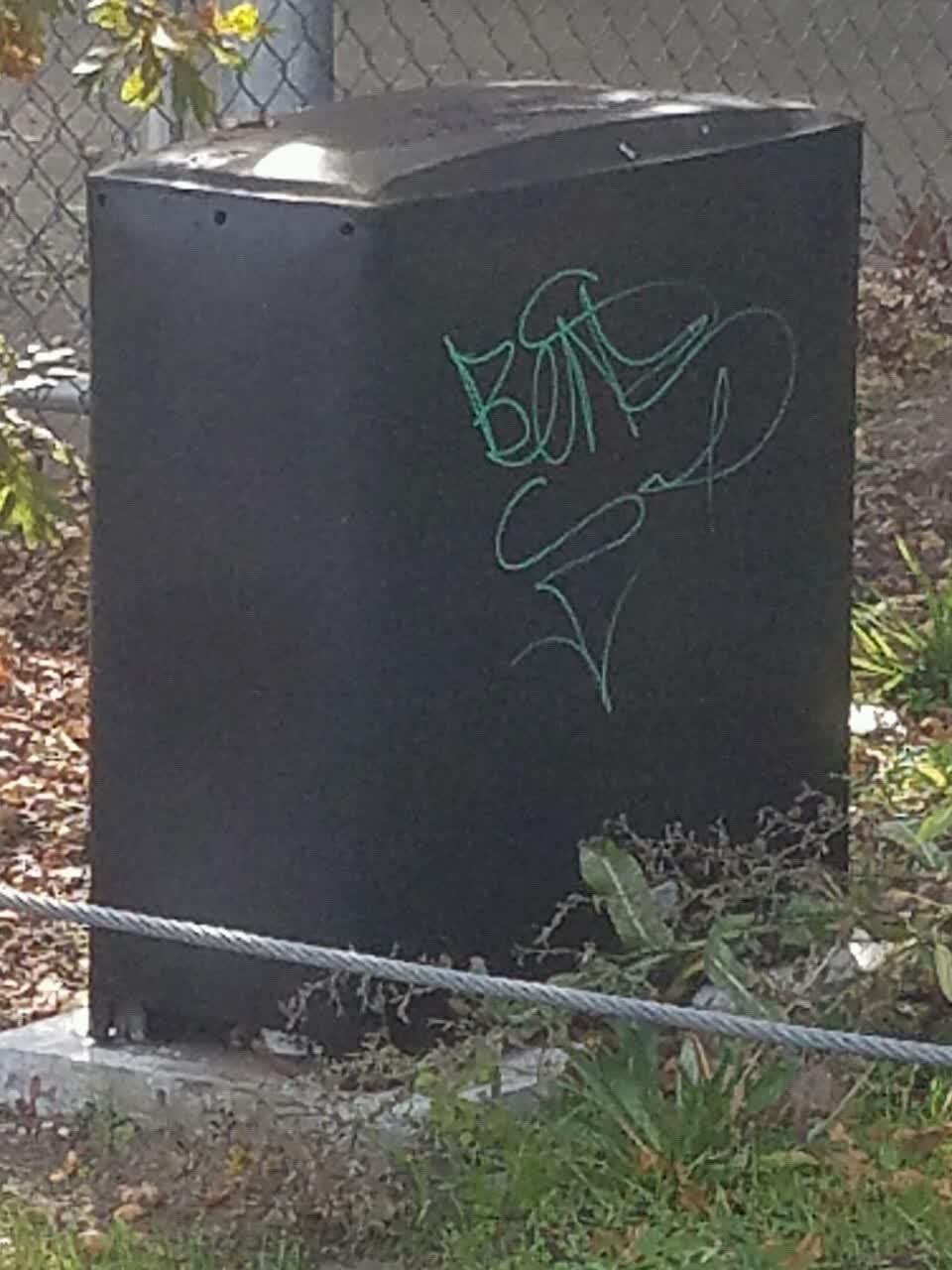 The photograph attached to this graffiti report
