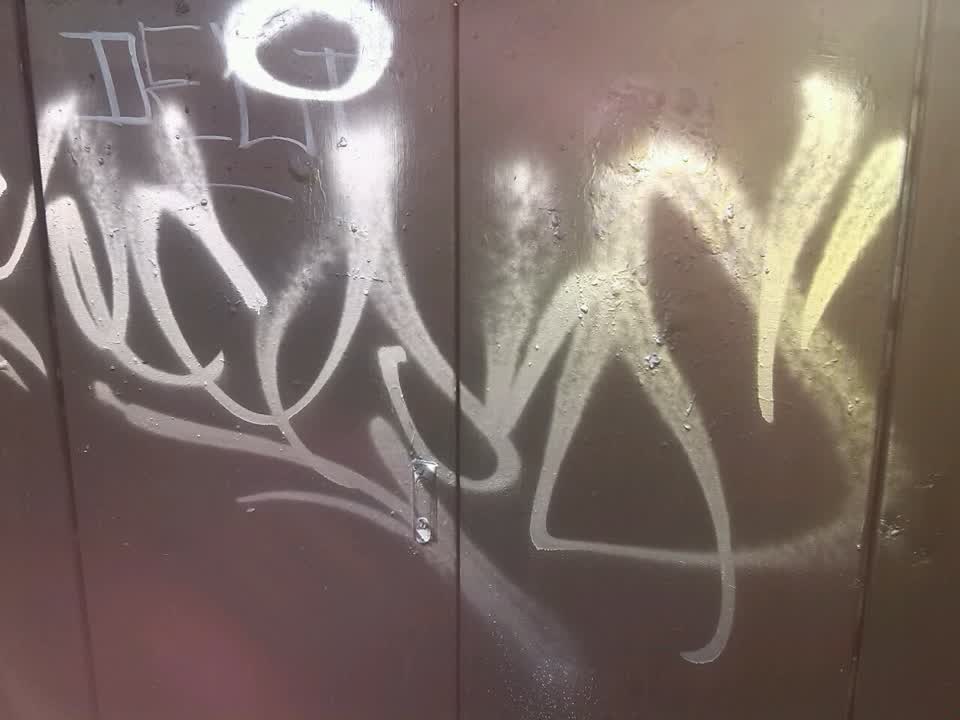 The photograph attached to this graffiti report