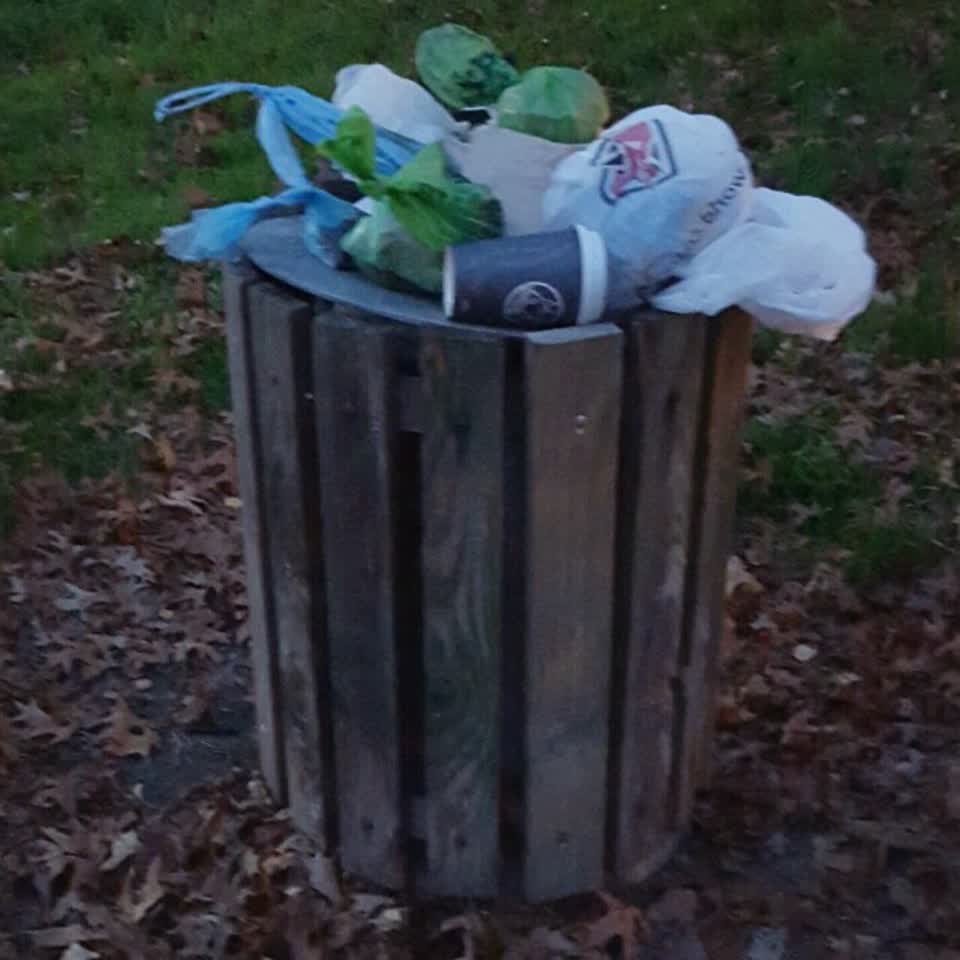 The photograph attached to this rubbish/recycling report