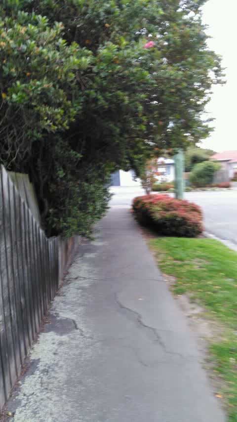 Roading/Streets, a report photo
