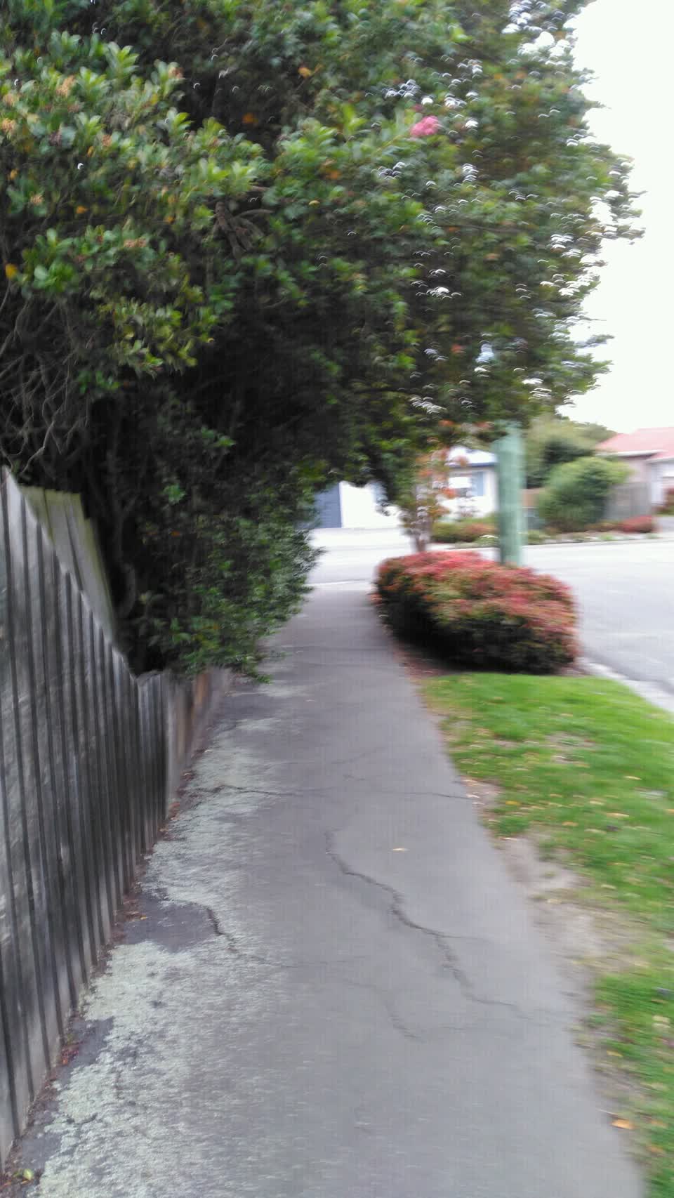 The photograph attached to this roading/streets report
