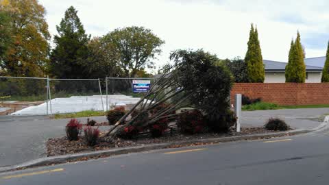 Roading/Streets, a report photo