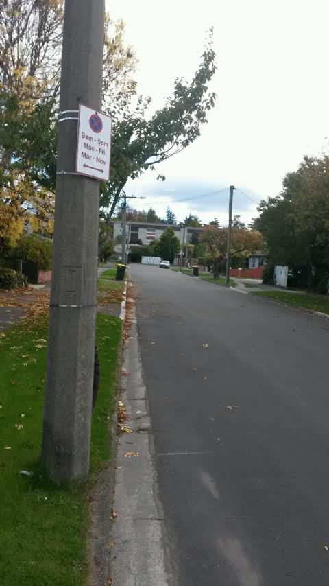 Roading/Streets, a report photo