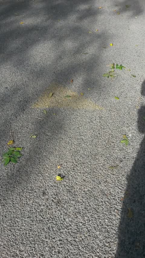 Parks, a report photo