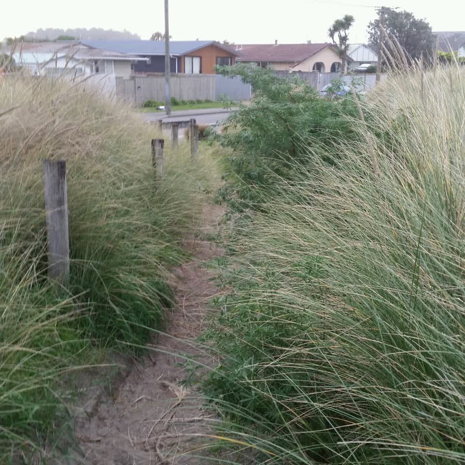The photograph attached to this parks report