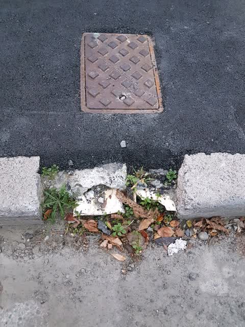 Wastewater/Stormwater, a report photo