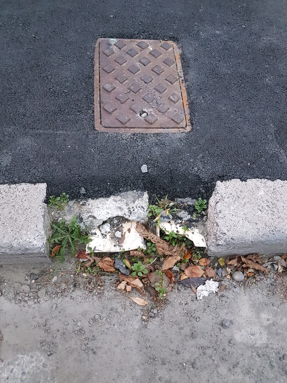The photograph attached to this wastewater/stormwater report