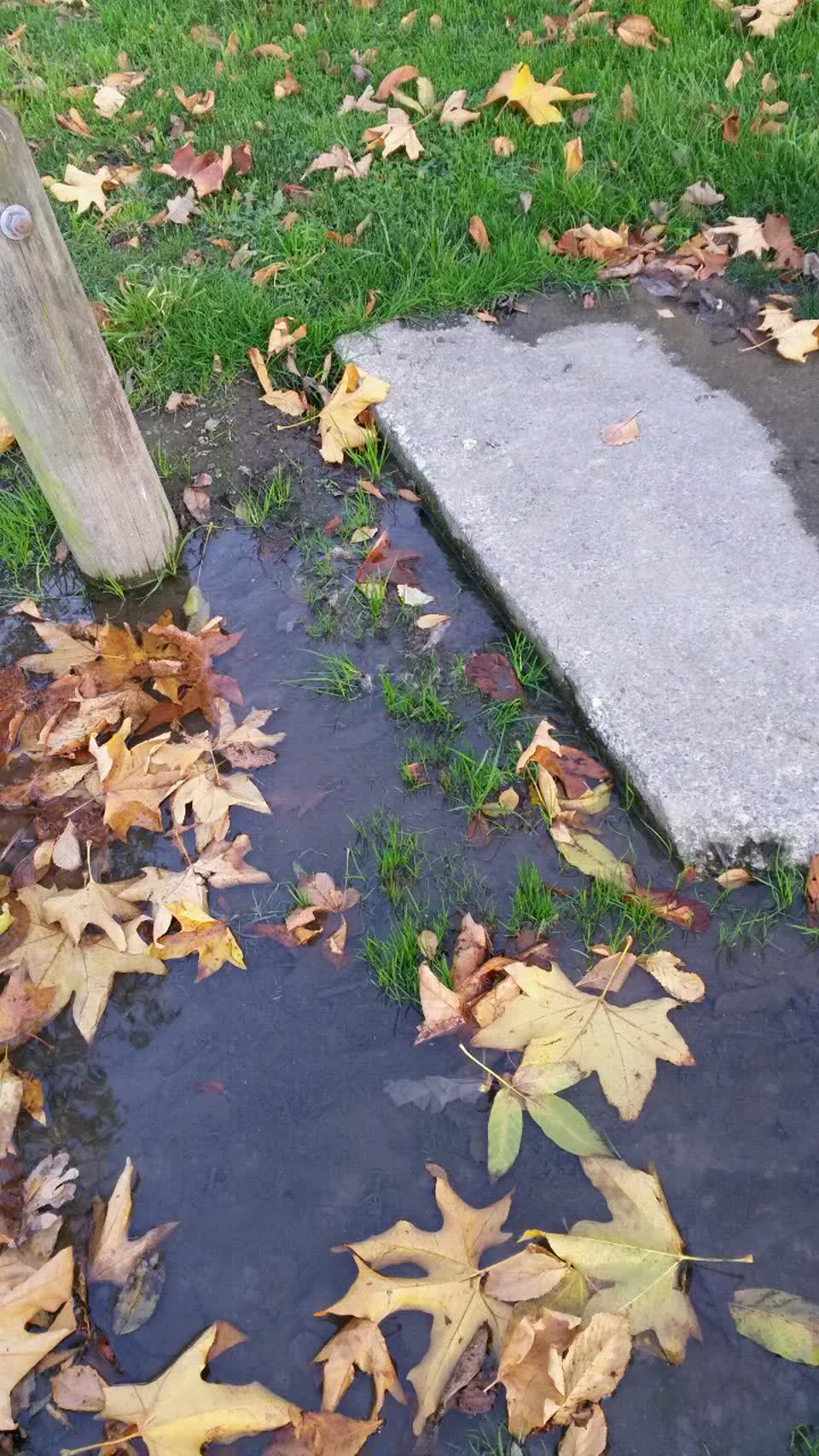 The photograph attached to this water supply report