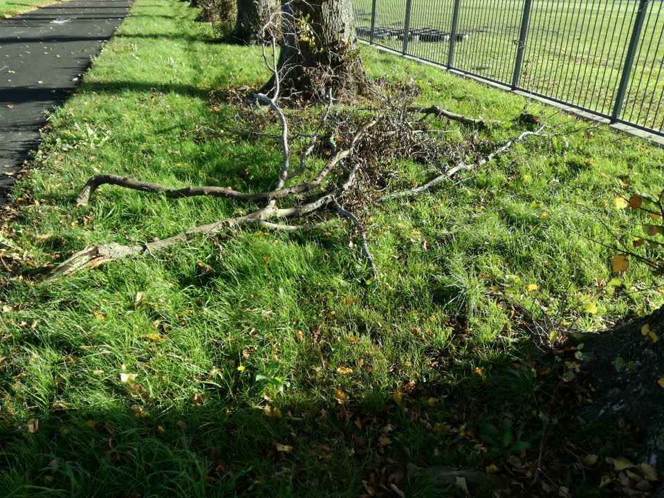 The photograph attached to this parks report