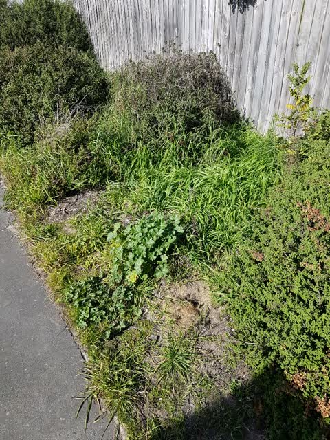 Parks, a report photo