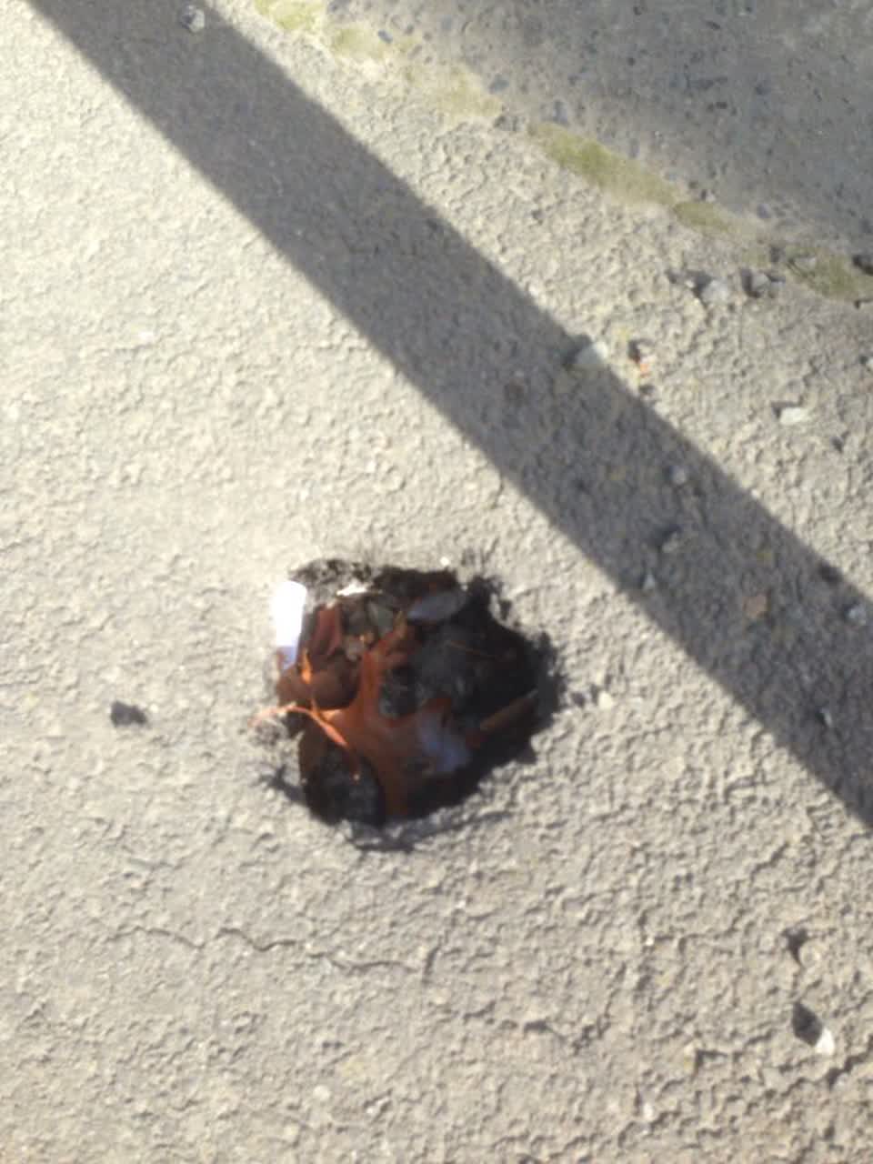 The photograph attached to this roading/streets report