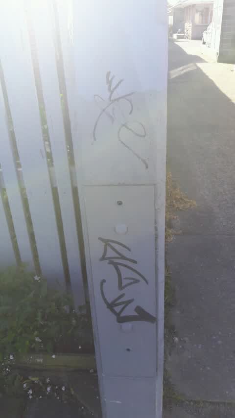 Graffiti, a report photo