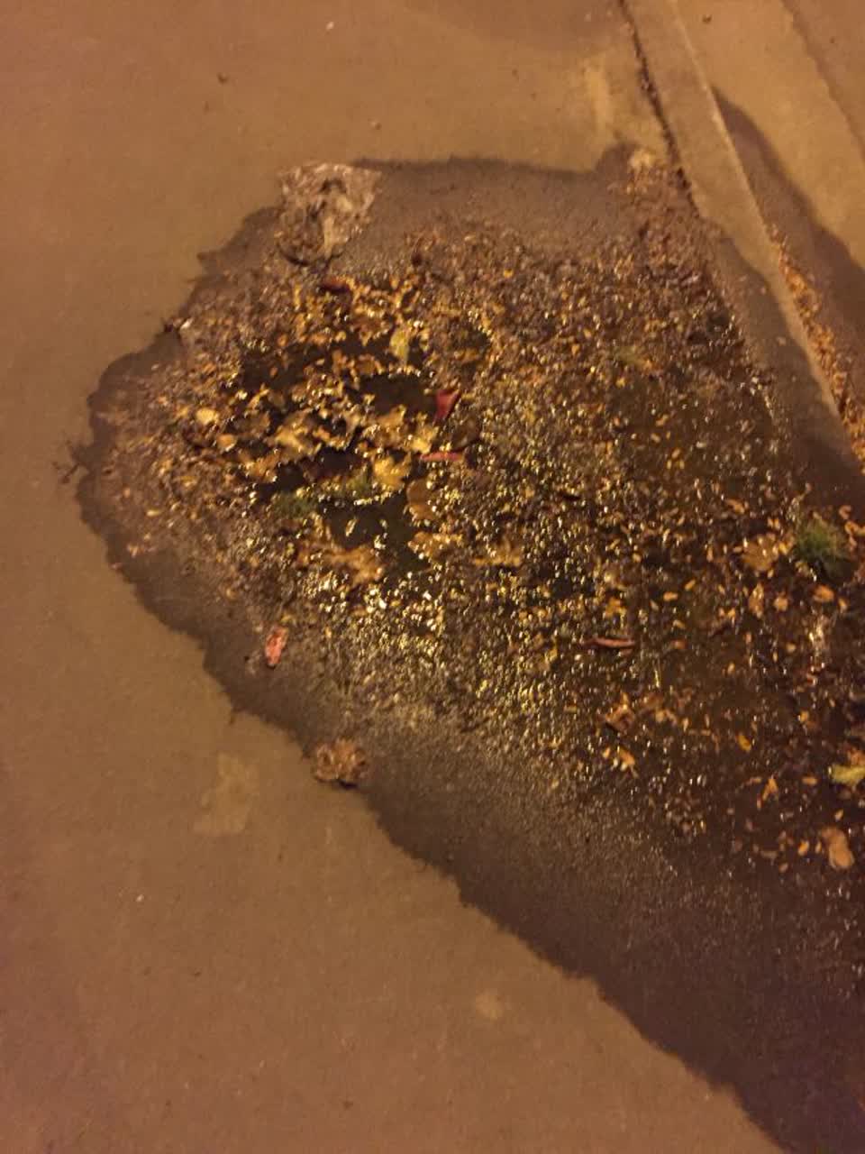The photograph attached to this water supply report