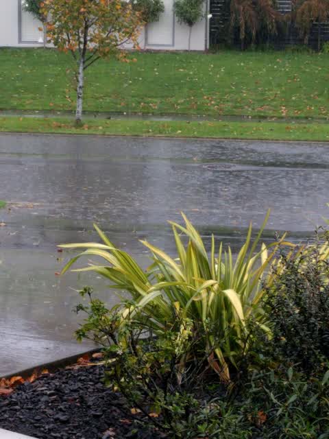 Wastewater/Stormwater, a report photo
