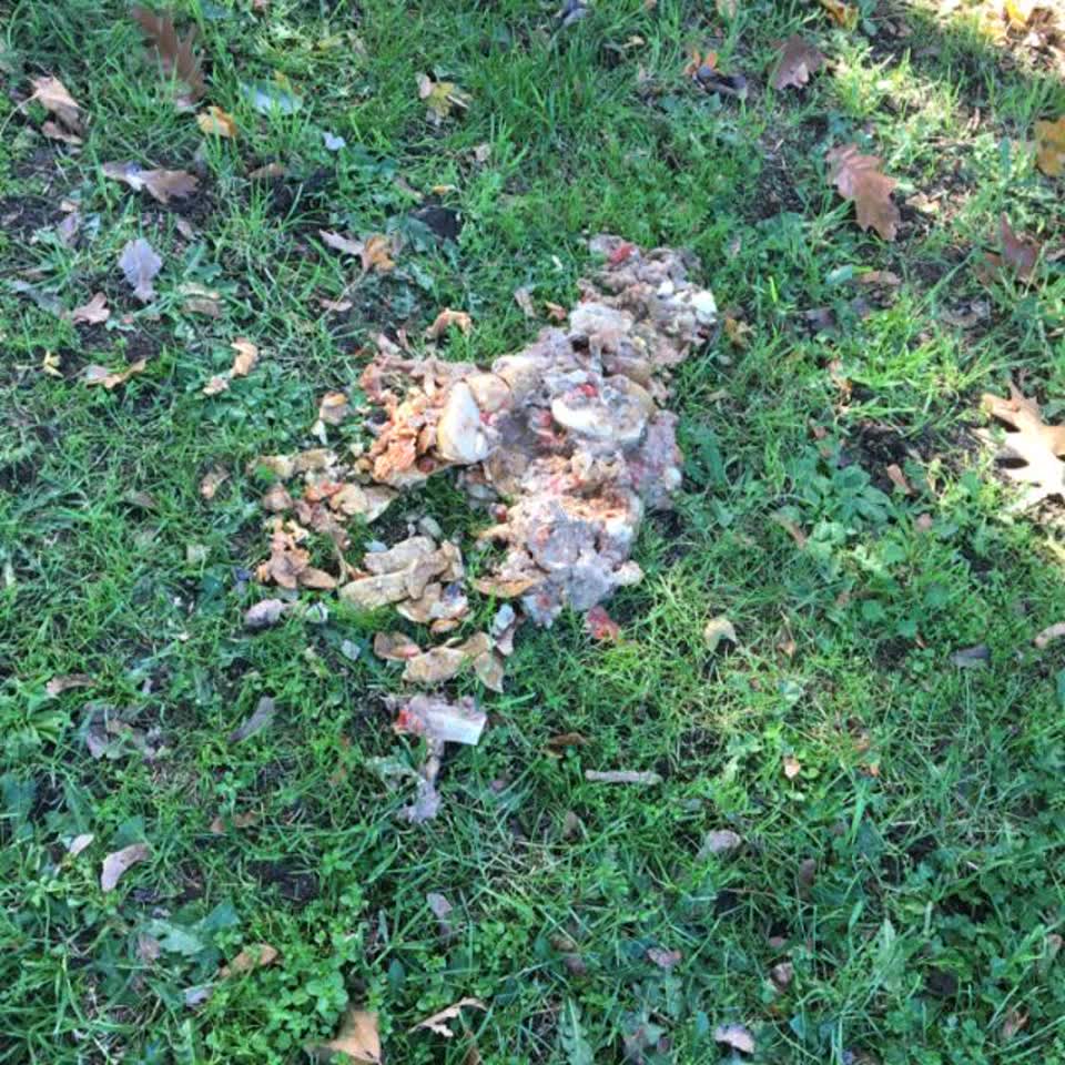 The photograph attached to this parks report