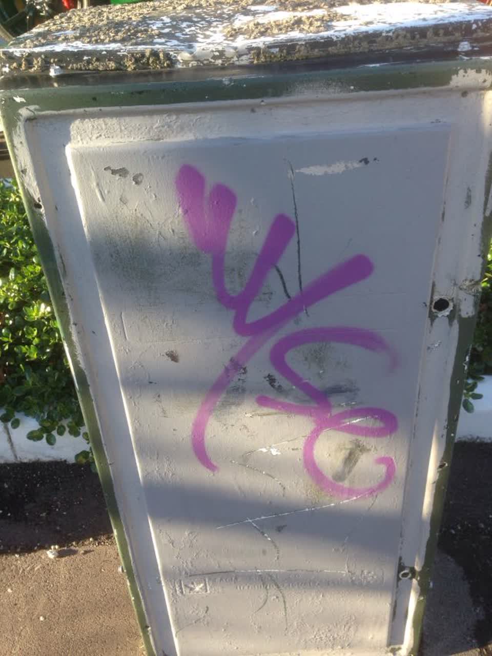 The photograph attached to this graffiti report