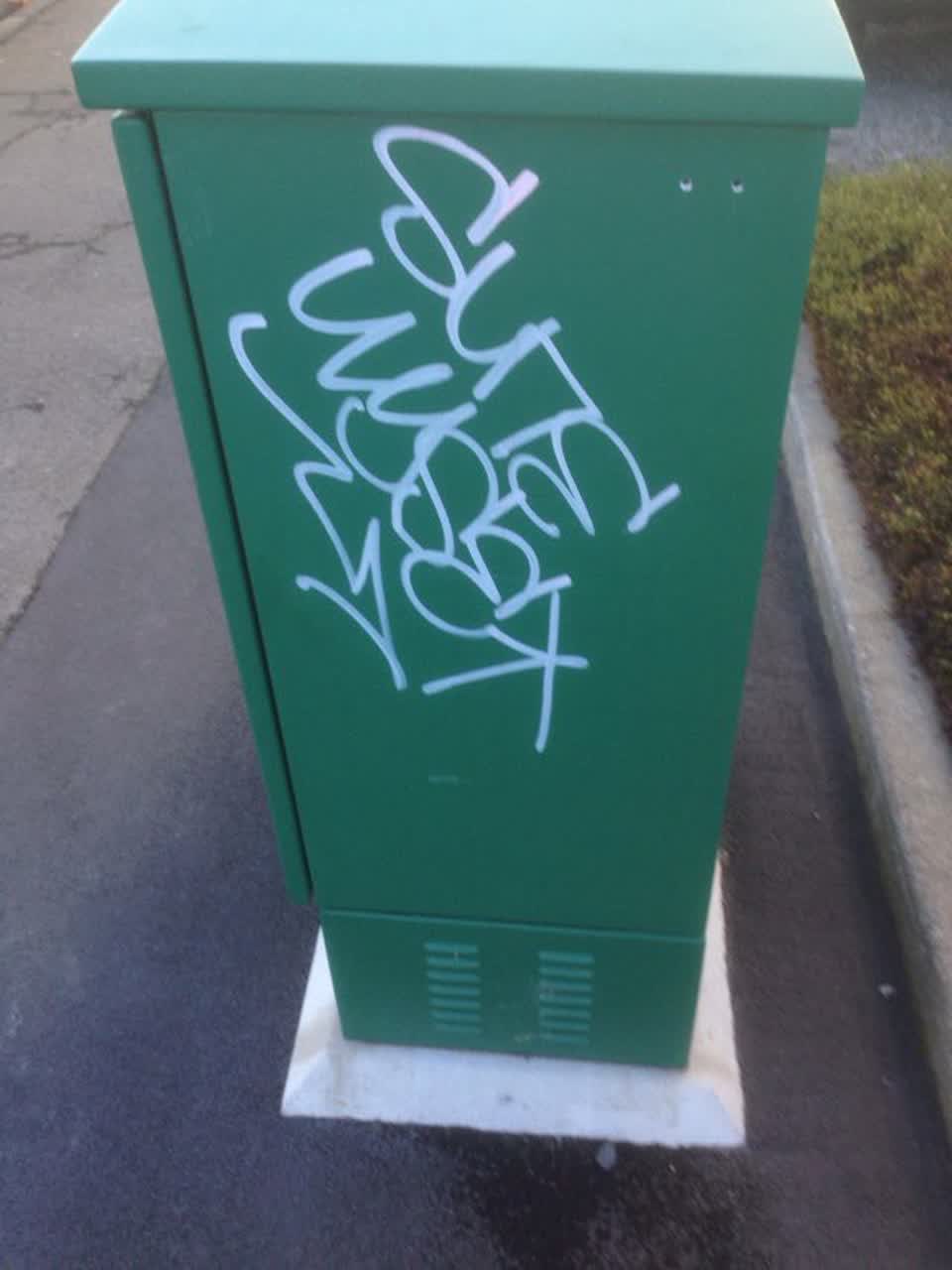 The photograph attached to this graffiti report
