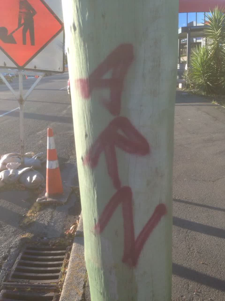 The photograph attached to this graffiti report