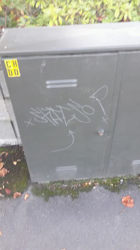 Graffiti — a report photo