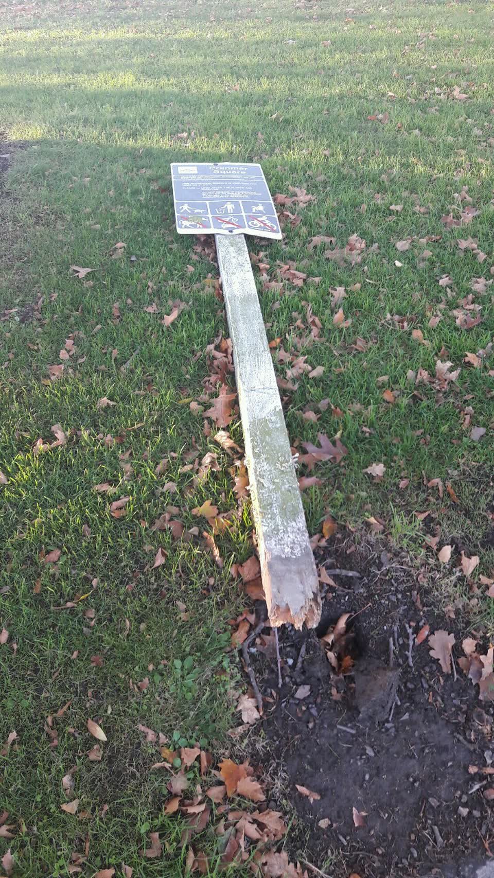 The photograph attached to this parks report