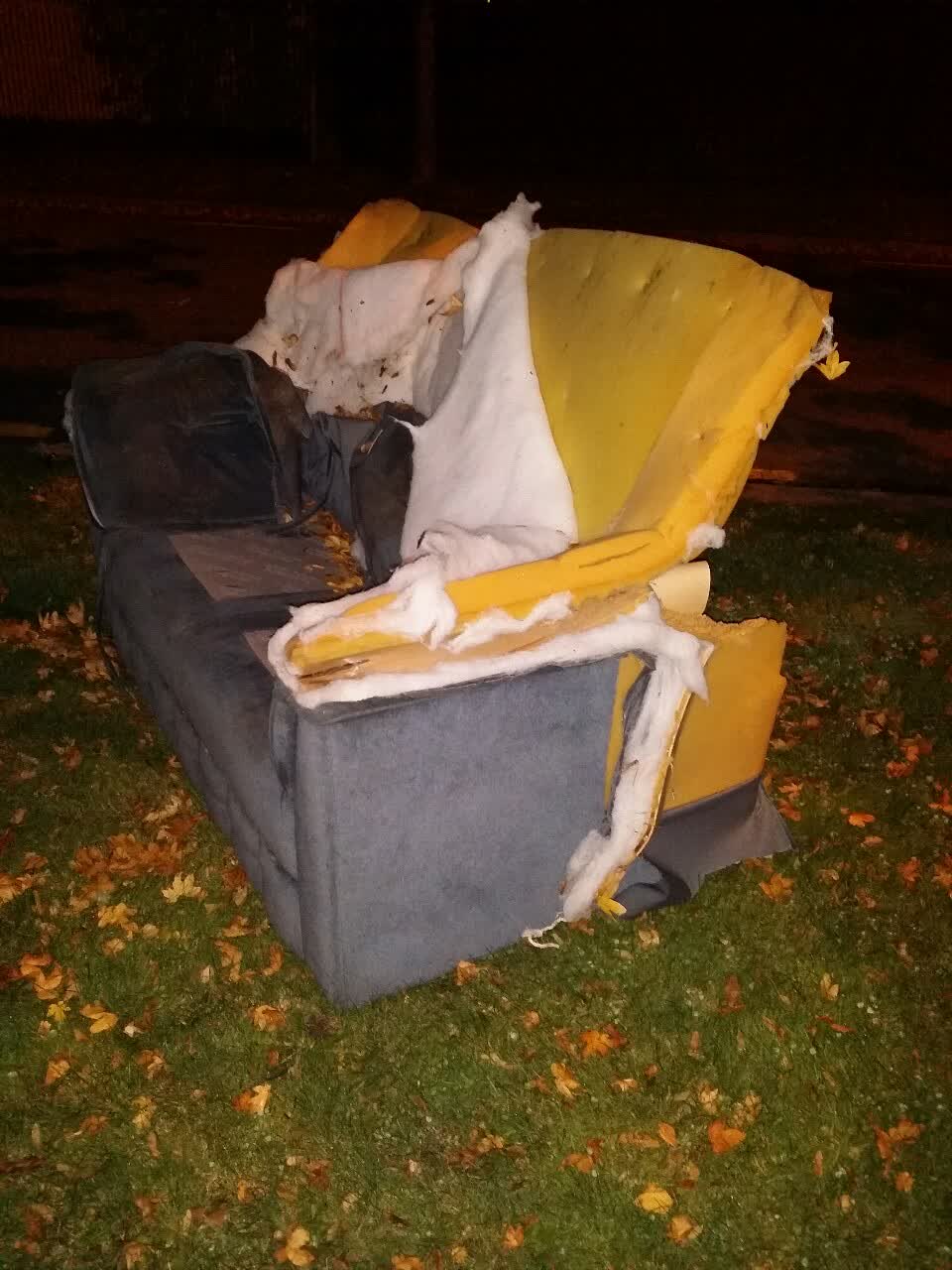 The photograph attached to this rubbish/recycling report