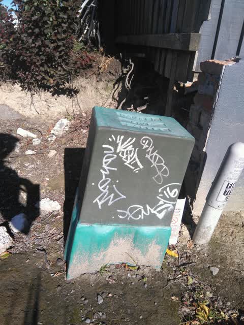 Graffiti, a report photo