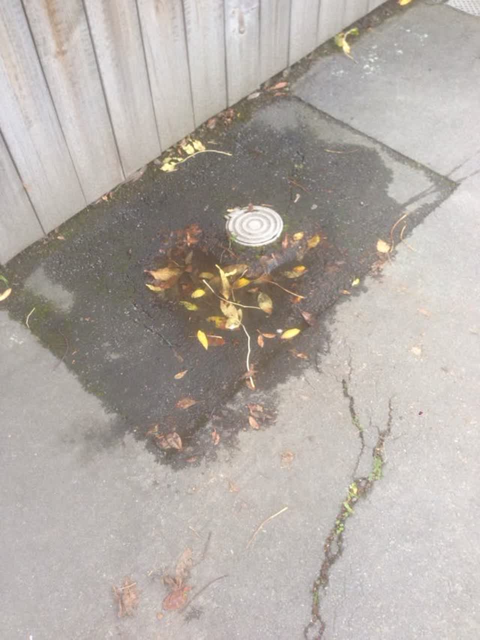 The photograph attached to this water supply report