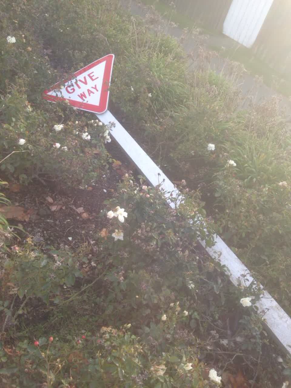 The photograph attached to this roading/streets report