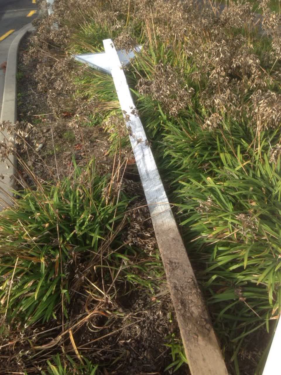 The photograph attached to this roading/streets report